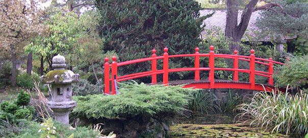 Irish National Stud and Japanese Gardens