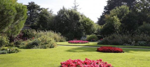 Marlay Park Walled Gardens
