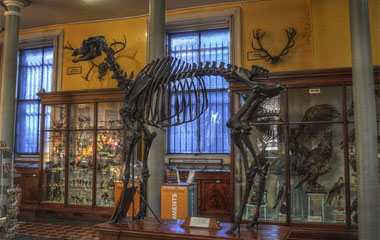 Museums