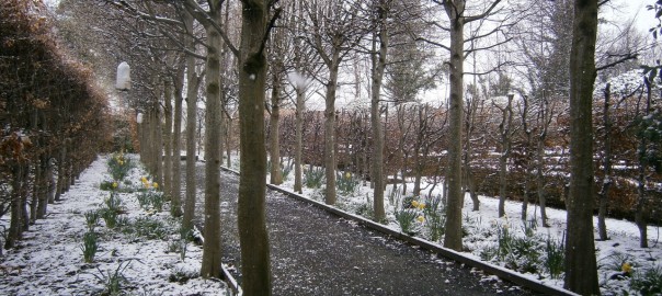 Drimnagh Castle