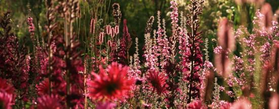 Hunting Brook Gardens