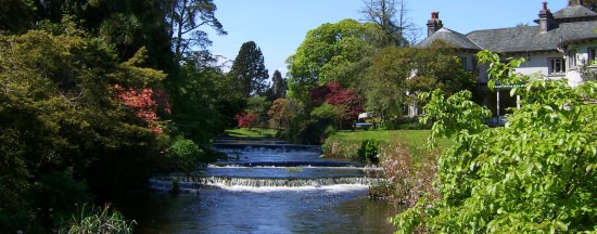 Mount Usher Gardens