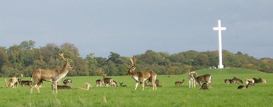 Phoenix Park