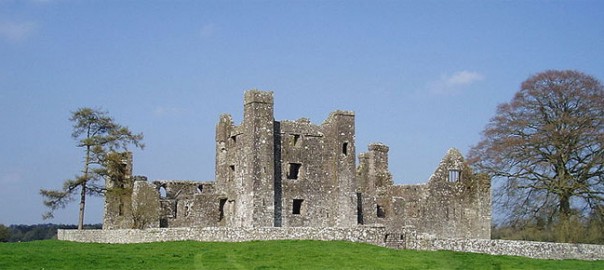 Bective Abbey