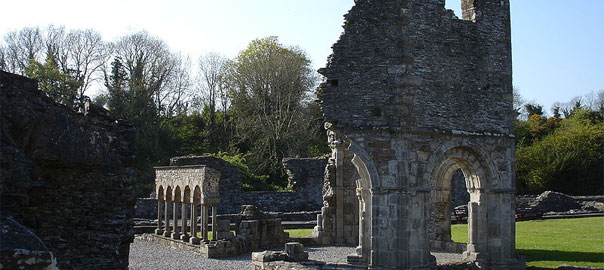 Mellifont Abbey