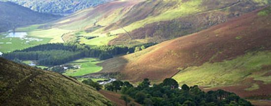 Wild Wicklow Tours