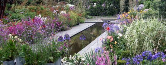 Helen Dillon's Garden