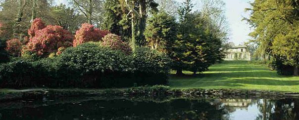 Kilmacurragh Arboretum